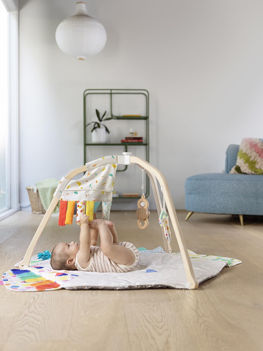 Lovevery, The Play Gym, 5-Stage Baby Developmental for Full Year of Play