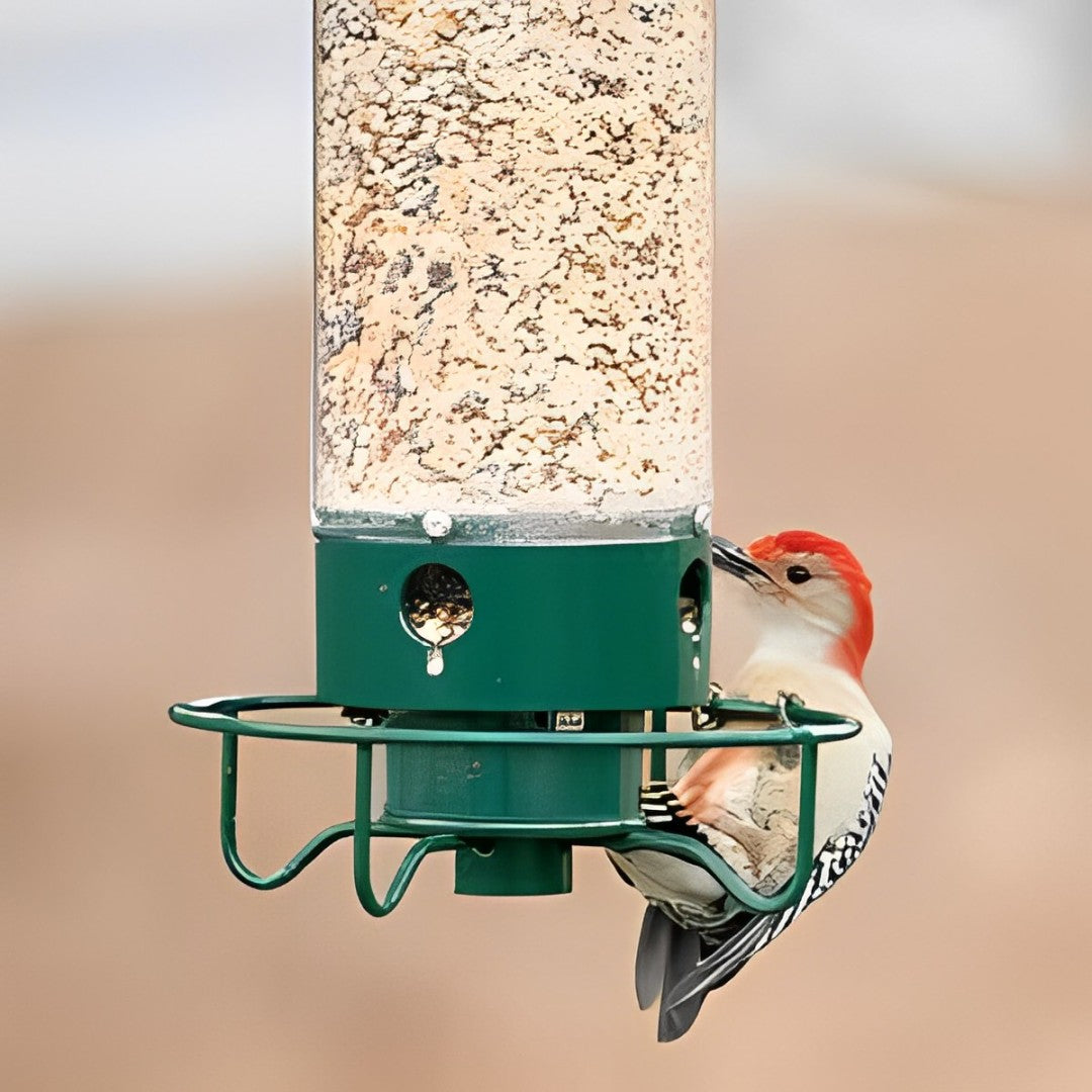 Squirrel-Proof Bird Feeder