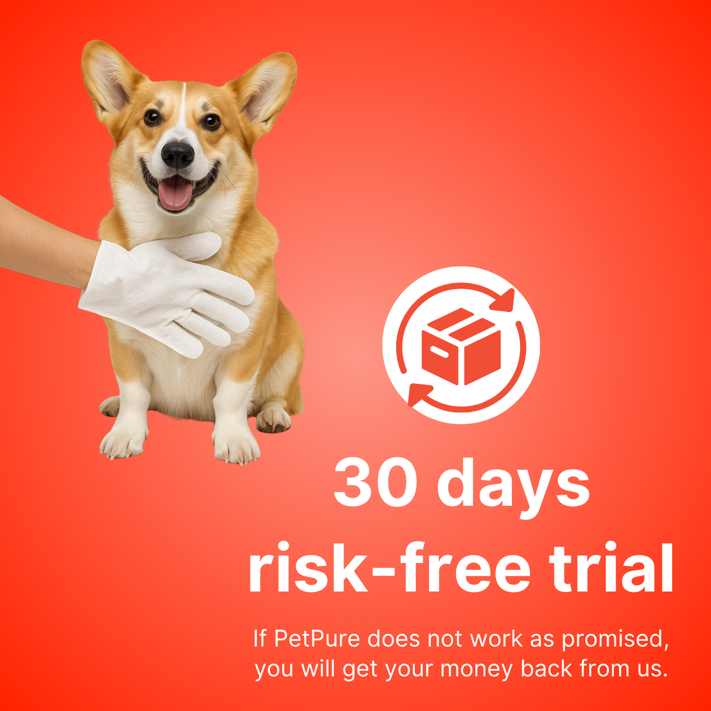 Deodorizing Glove Wipes for Quick Pet Cleanups