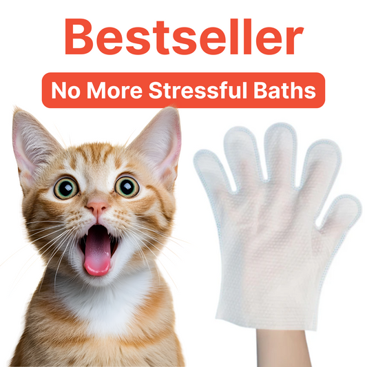 Deodorizing Glove Wipes for Quick Pet Cleanups