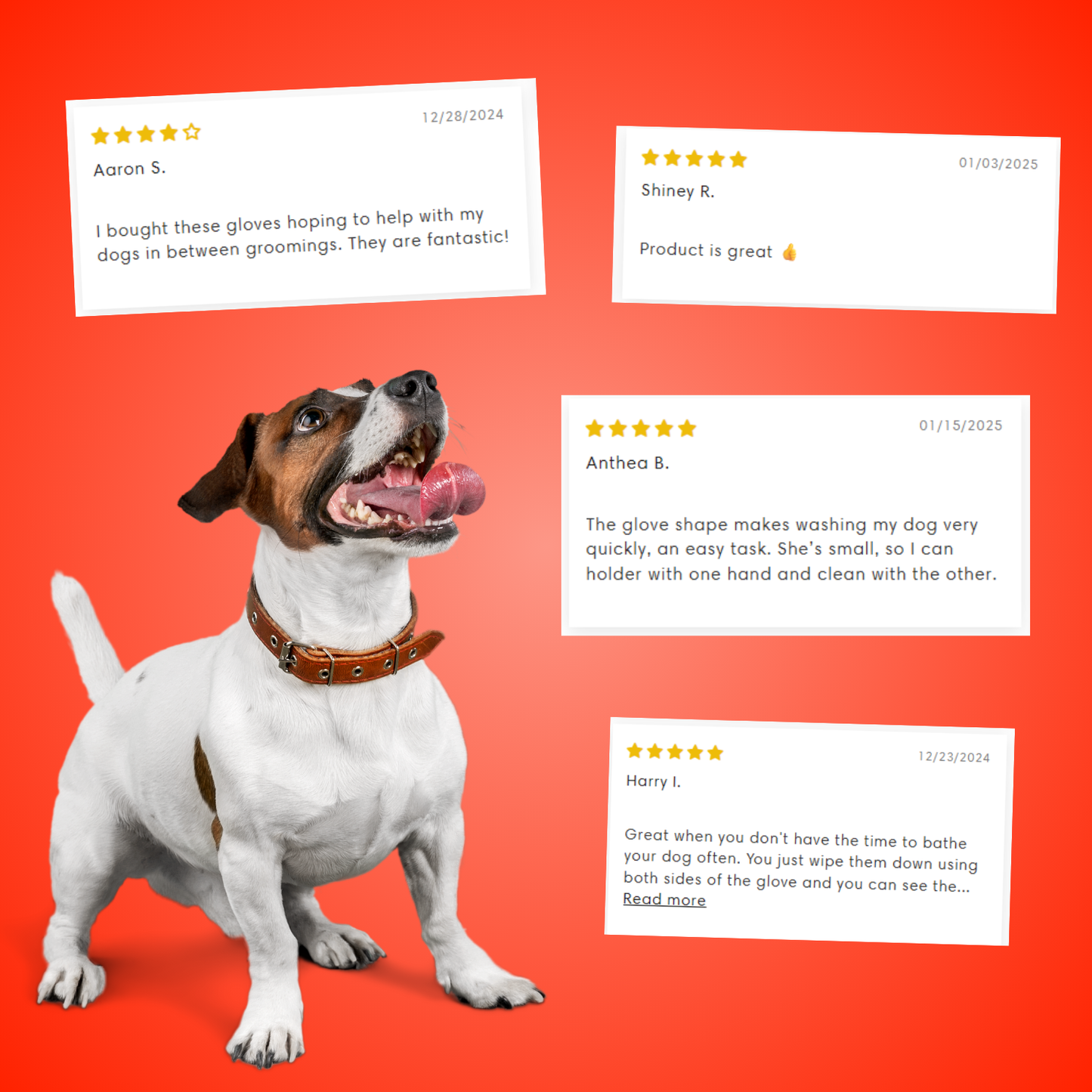 Deodorizing Glove Wipes for Quick Pet Cleanups