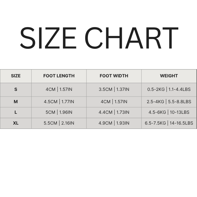 Breathable Mesh Dog Shoes for Fun Adventures