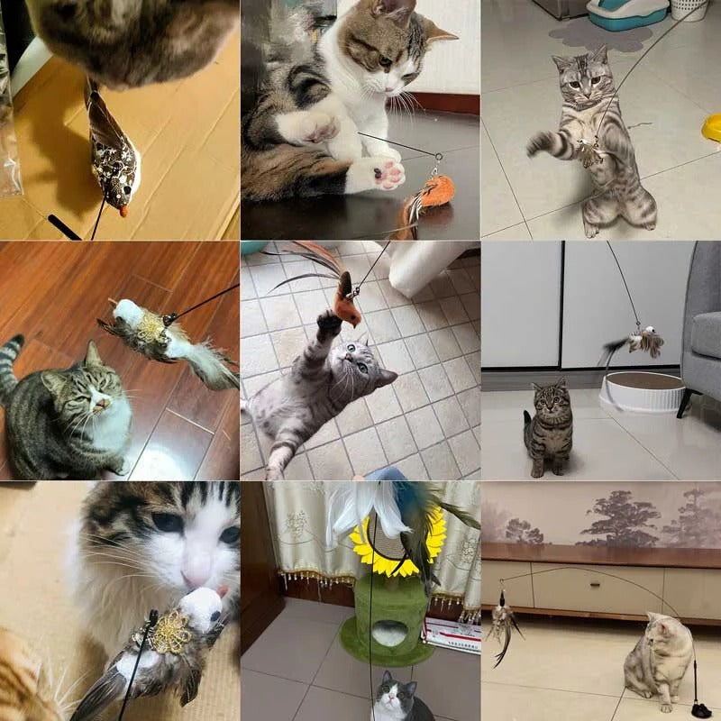 Bird Simulation Toy Set for Cats