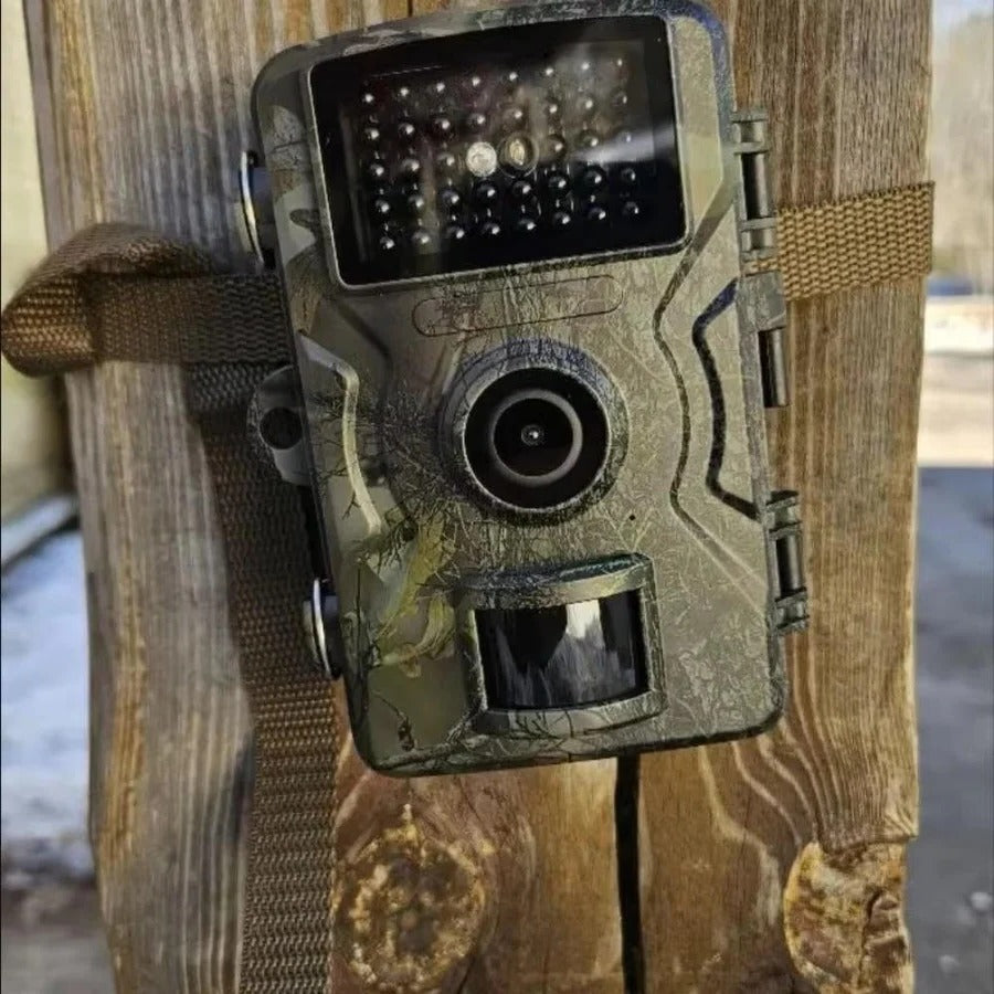 Night Vision Outdoor Wildlife Animal Camera